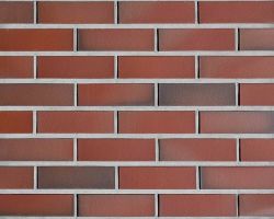 Westerward bunt glatt