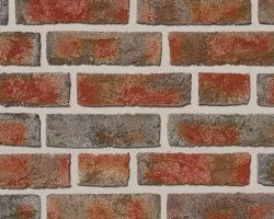 FORMBACK buntgeflammt